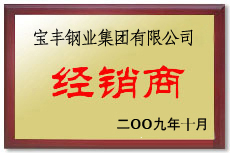 商水宝丰经销商